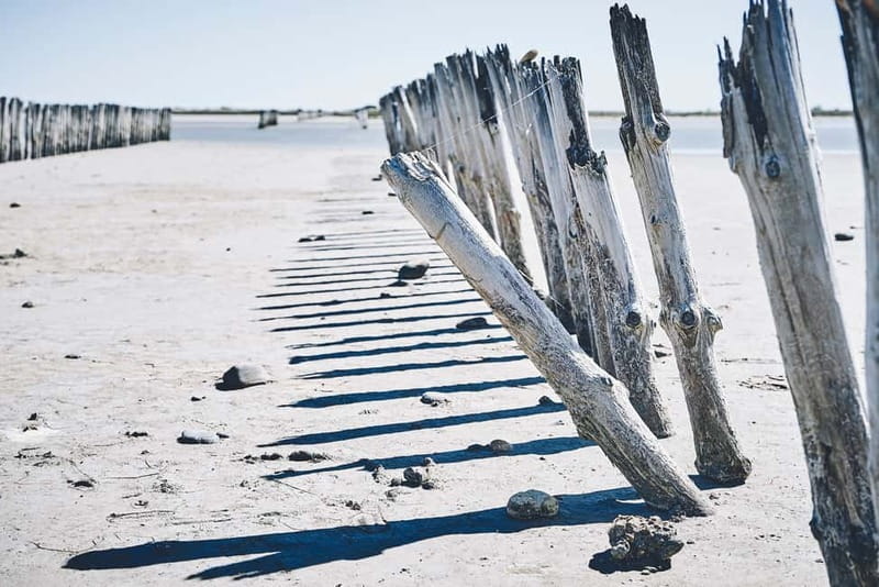 From Avignon: Camargue Tour with Bird Park Entry - Saintes-Maries-de-la-Mer: Church, Beach, and Lunch