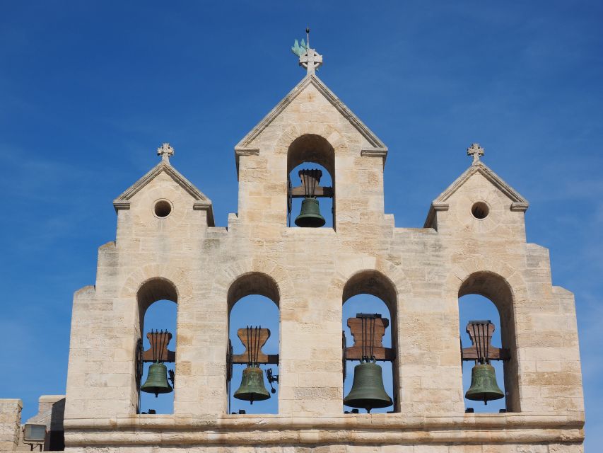 From Avignon: Half-Day Camargue and Saintes-Maries-de-la-Mer - Should you book it?