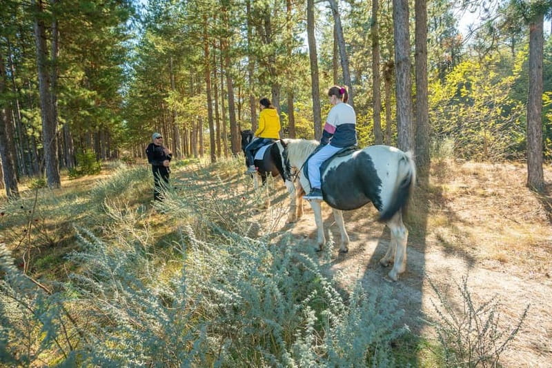 From Bansko: Horse Riding Experience - Why the lack of an English instructor matters