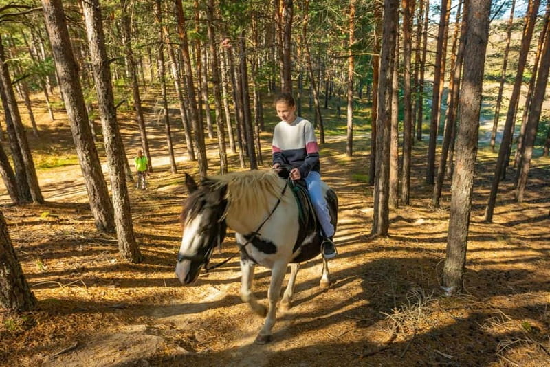 From Bansko: Horse Riding Experience - Winter views and a break from skiing