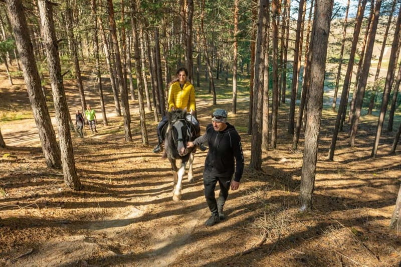From Bansko: Horse Riding Experience - Traventuria’s conservation connection