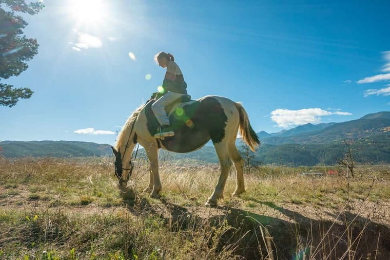 From Bansko: Horse Riding Experience - Calm horses, dogs, and an authentic farm