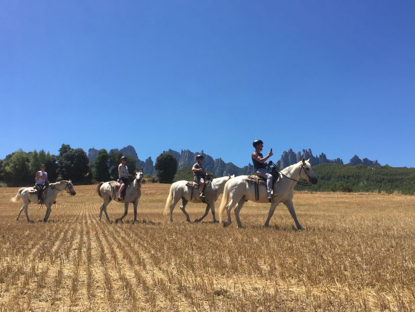 From Barcelona: Horseback Tour in Montserrat National Park - The mountain monastery and the Virgin of Montserrat