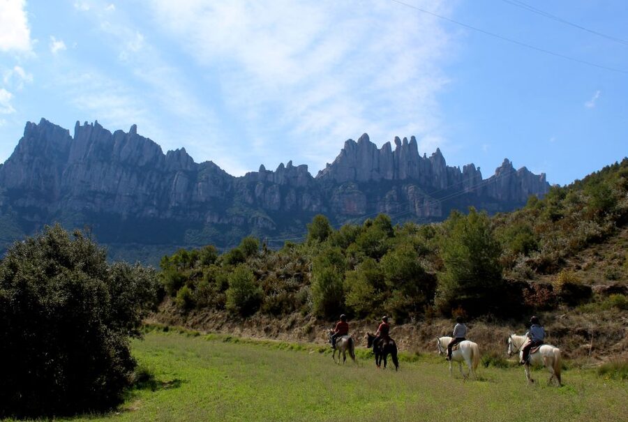 From Barcelona: Horseback Tour in Montserrat National Park - A short stop at the local market