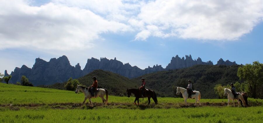 From Barcelona: Horseback Tour in Montserrat National Park - Free time at the ranch before Barcelona