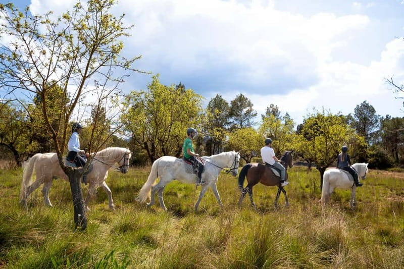 From Barcelona: Montserrat Walking and Horseback Riding Tour - Entering Montserrat Monastery