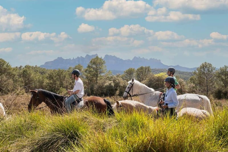 From Barcelona: Montserrat Walking and Horseback Riding Tour - Timing, languages, and practical details