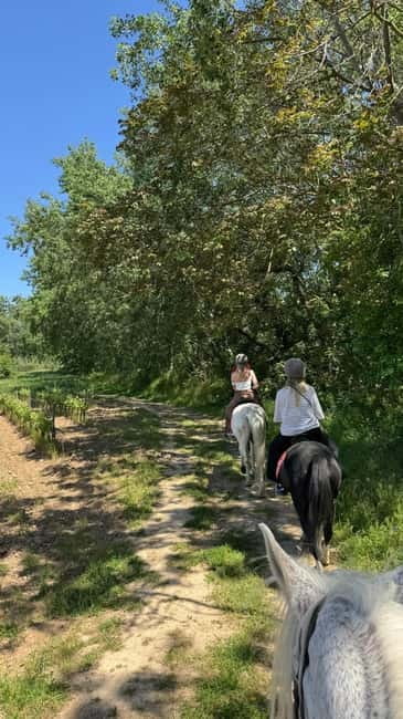 From Barcelona: PRIVATE Horseback Ride + Tapas + Picnic - Key points at a glance
