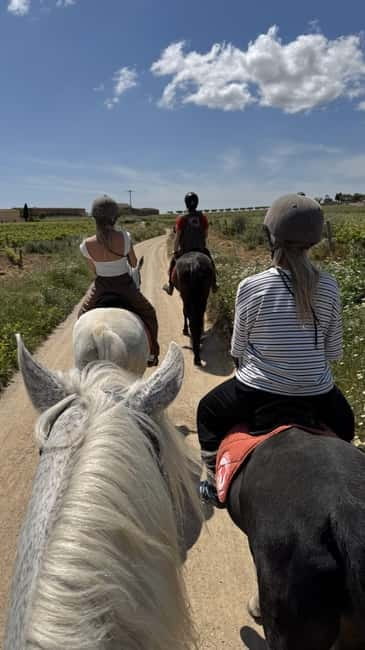 From Barcelona: PRIVATE Horseback Ride + Tapas + Picnic - Why the private format changes the day
