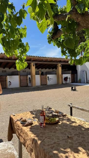 From Barcelona: PRIVATE Horseback Ride + Tapas + Picnic - Guides, languages, and personal service