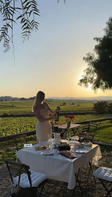 From Barcelona: PRIVATE Horseback Ride + Tapas + Picnic - Price, photos, and what is included