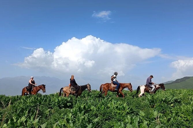 From Bishkek Horse Riding in Arashan Mountains - Choosing the right horse for your comfort