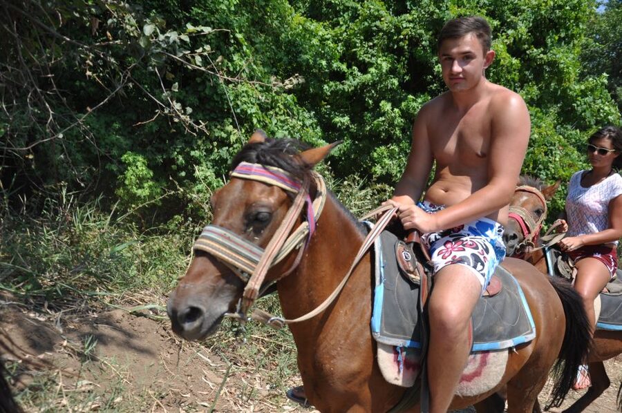 From Bodrum/Gümbet: Guided Horseback Riding Expereince - Horse welfare deserves your attention
