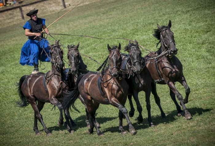 From Budapest: Puszta Horse Show and Countryside Visit - Leaving Budapest for the Hungarian Plain