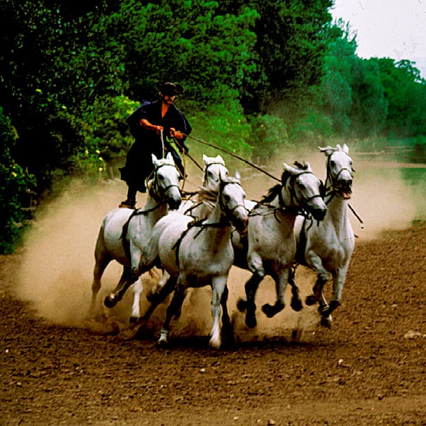 From Budapest: Puszta Horse Show and Countryside Visit - The farm at Lajosmizse
