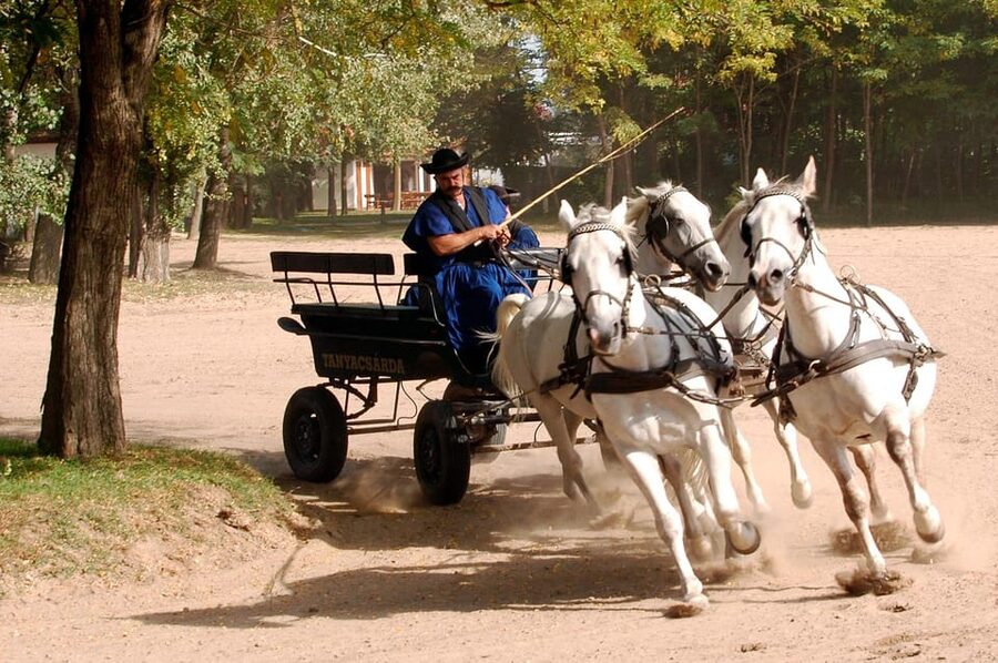 From Budapest: Puszta Horse Show and Countryside Visit - Is $133 good value?