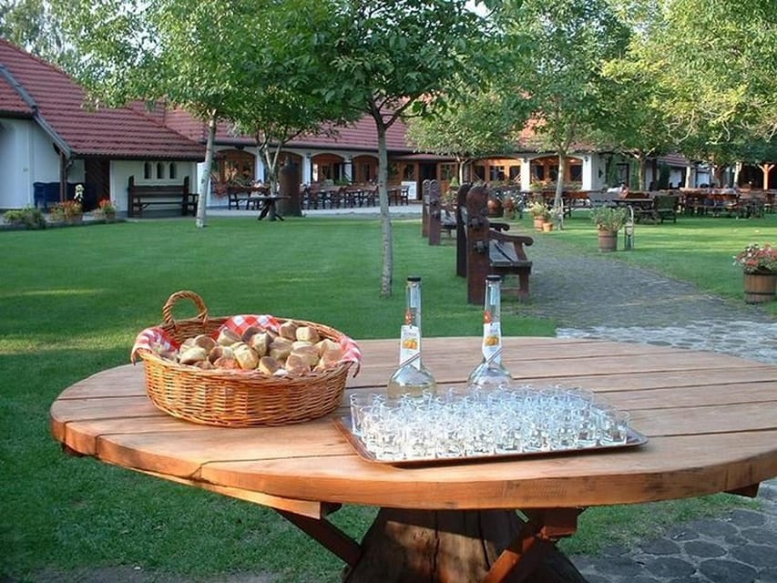 From Budapest: Puszta Horse Show and Countryside Visit - Travel time, comfort, and pacing