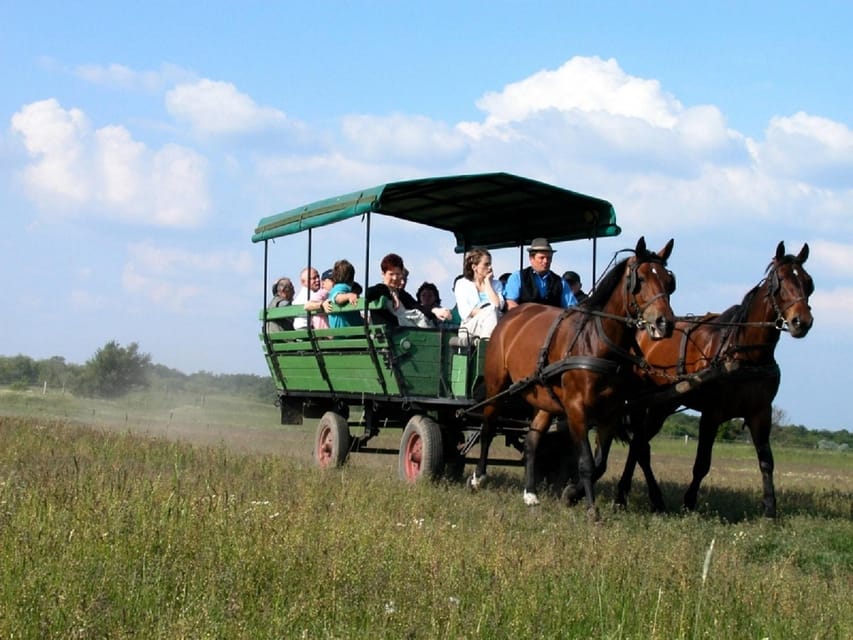 From Budapest: Puszta Horse Show and Countryside Visit - Who will enjoy this day most?