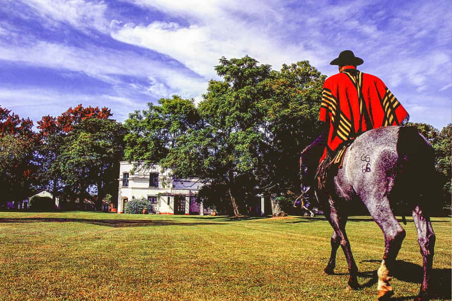 From Buenos Aires: Gaucho and Ranch Day Tour - Horseback riding is fun, but keep expectations realistic