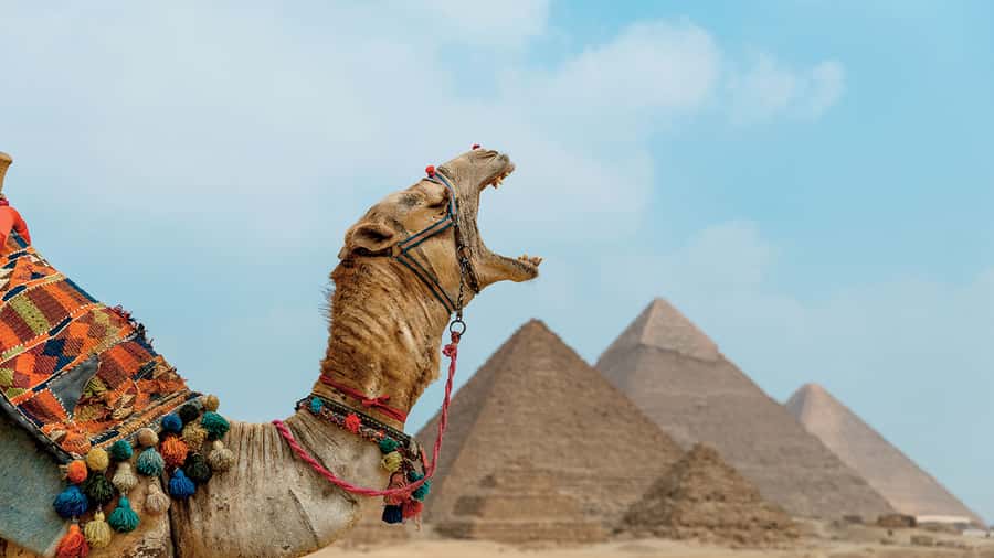 From Cairo: Camel or Horse Ride Tour Around Giza Pyramids - Valley Temple of Khafre, the quiet first stop