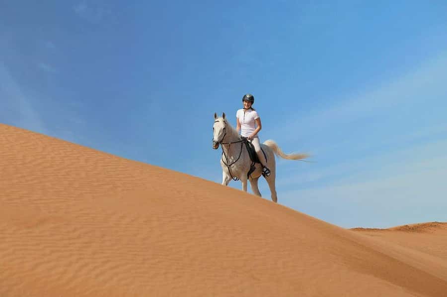 From Doha: Experience Horse Riding In Qatar Desert - Key points to know before booking