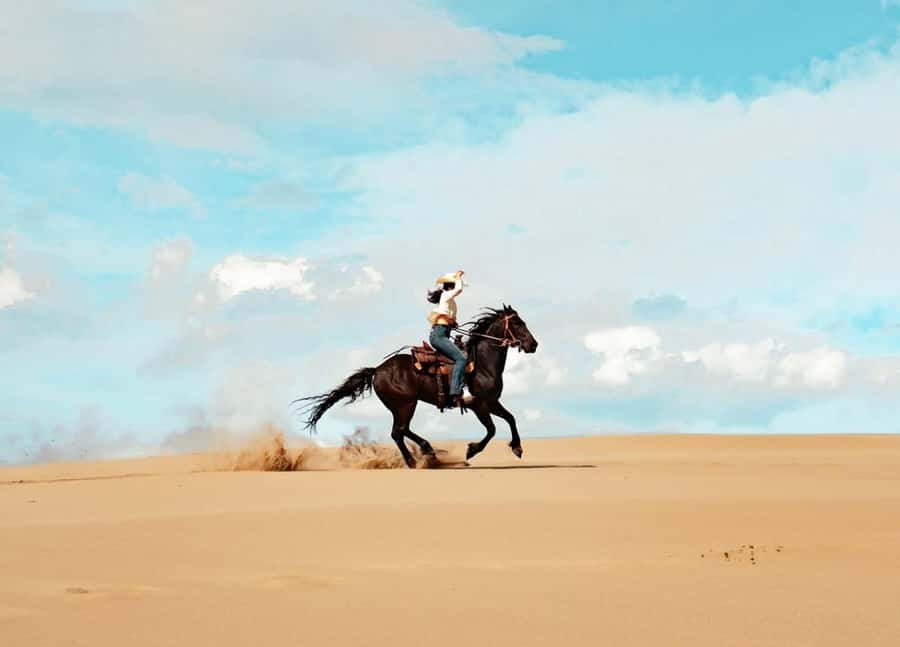From Doha: Experience Horse Riding In Qatar Desert - From Doha to the desert in about 45 minutes