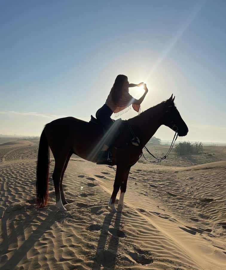 From Doha: Experience Horse Riding In Qatar Desert - One hour across soft golden sand