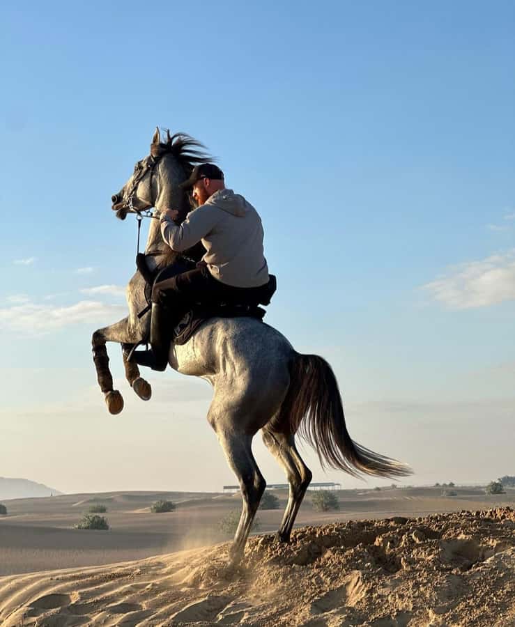 From Doha: Experience Horse Riding In Qatar Desert - Guides who make the ride easier