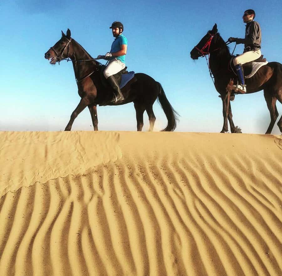 From Doha: Experience Horse Riding In Qatar Desert - Refreshments, photos, and small extras