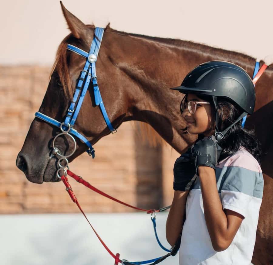 From Doha: Experience Horse Riding In Qatar Desert - Is $113 a fair price?