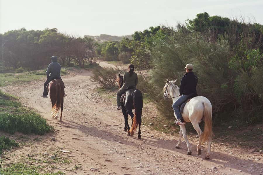 From Essaouira: 1-Hour Horse Ride - Leaving Essaouira for Ranch de Diabat