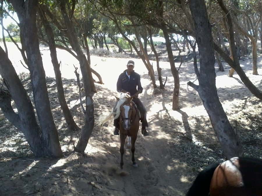 From Essaouira: 1-Hour Horse Ride - Should you book the Essaouira horse ride?