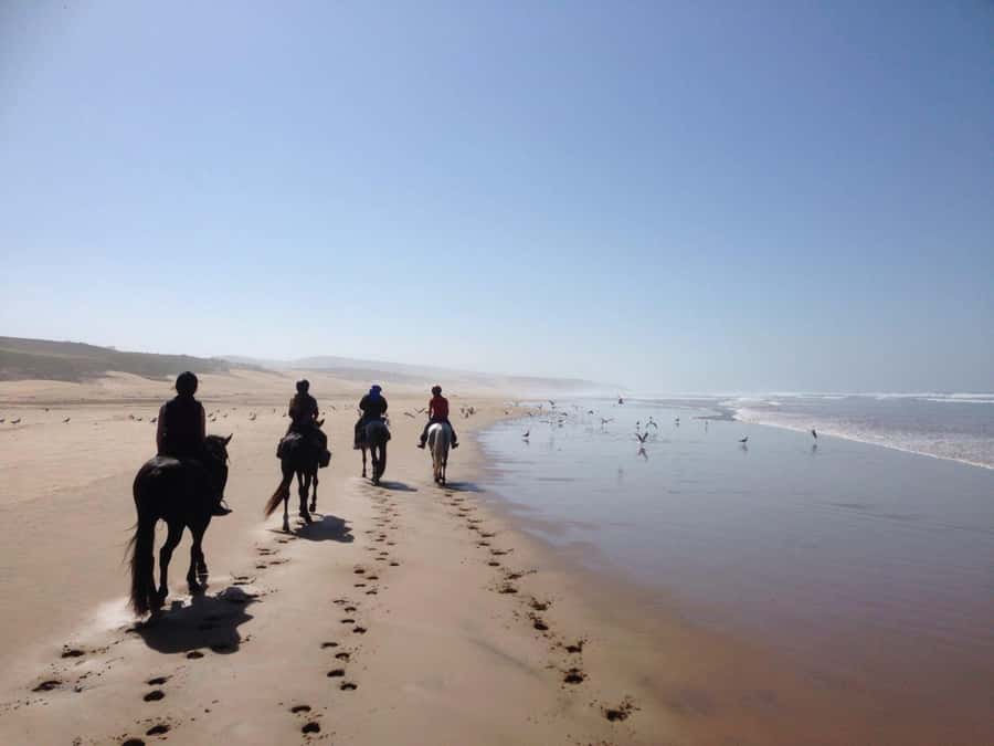 From Essaouira: 1-Hour Horse Ride with sunset - From Essaouira to Ranch de Diabat