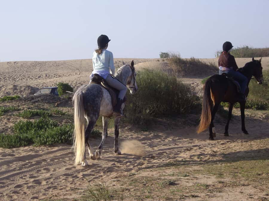 From Essaouira: 1-Hour Horse Ride with sunset - Who will enjoy this ride most