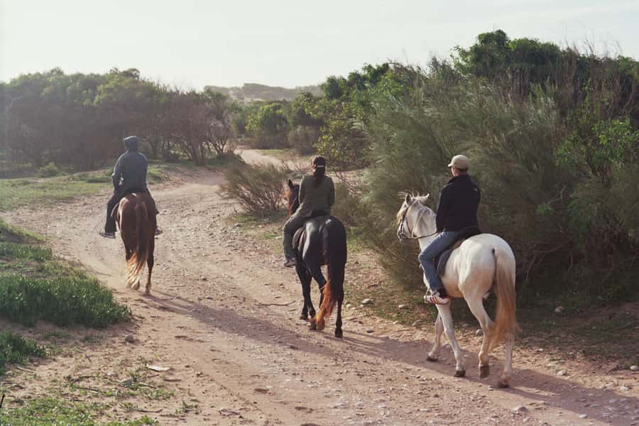 From Essaouira: 1-Hour Horse Ride - A route through river country and palace ruins