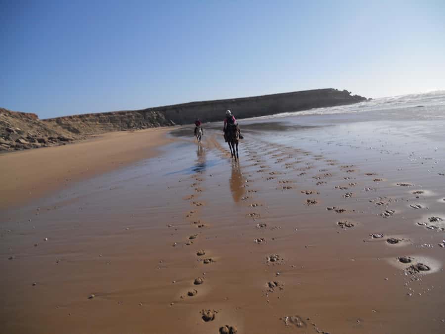 From Essaouira: 2h Horseback Ride with Sunset - Why This Ride Works So Well at Sunset