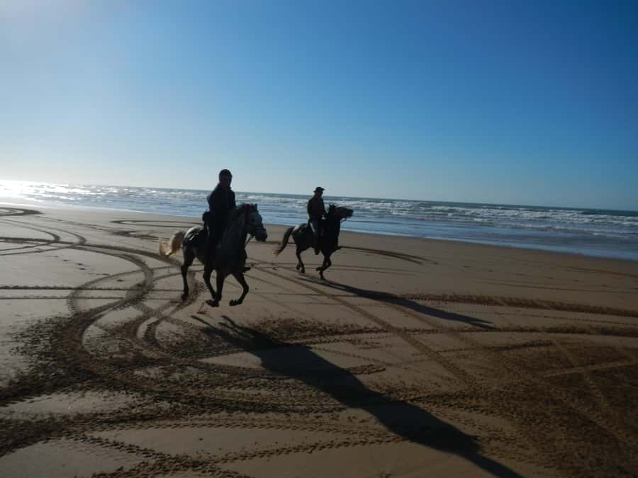 From Essaouira: 2h Horseback Ride with Sunset - Reaching the Sand Dunes by the Sea
