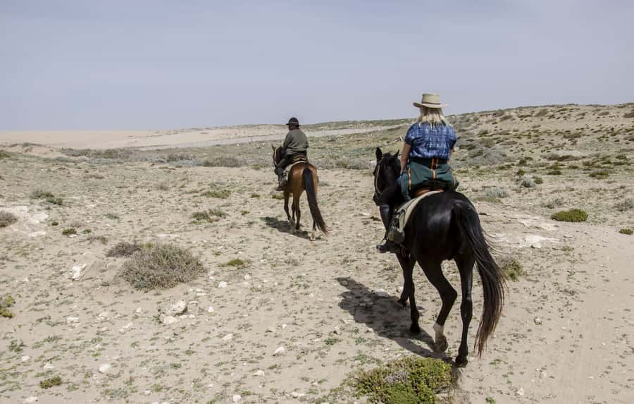 From Essaouira: 2h Horseback Ride with Sunset - Returning Through Mimosa and Tuja Forest