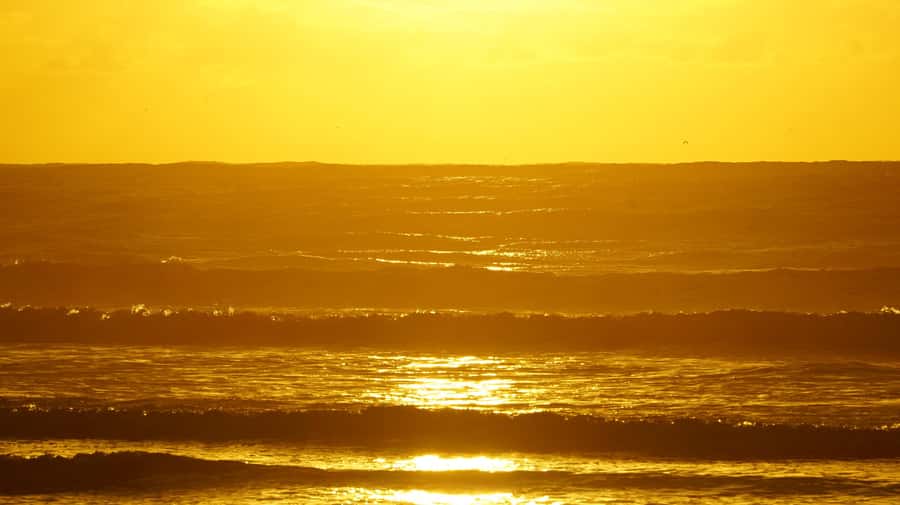 From Essaouira: 2h Horseback Ride with Sunset - Crossing Diabat’s Wide, Quiet Beach