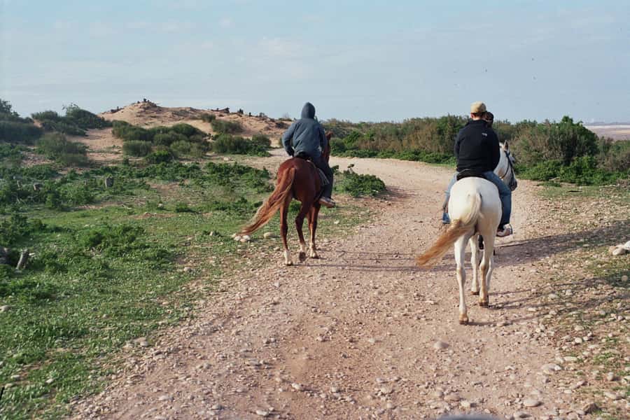 From Essaouira: Scenic Diabat Horseback Ride with Transfer - Sand dunes and the change of pace