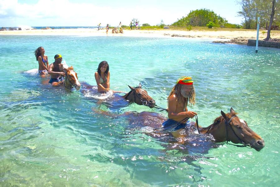 From Falmouth: Horseback Ride and Swim Beach Trip - Key points to know before you book