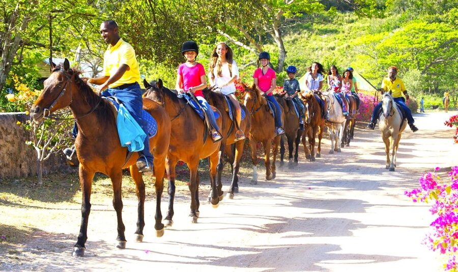 From Falmouth: Horseback Ride and Swim Beach Trip - Should you book the Sand N Saddle ride?