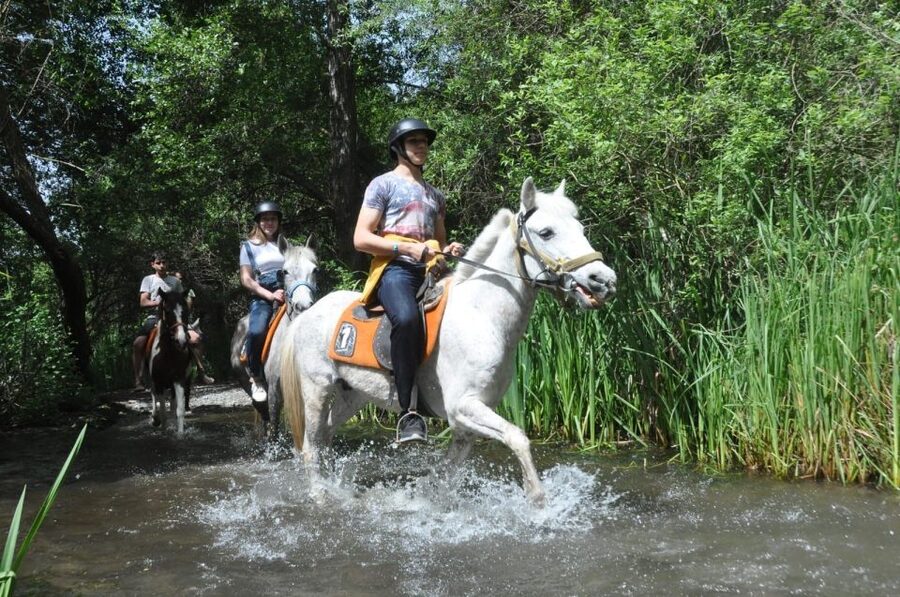 From Fethiye: Horse Riding Adventure - A 1.5-Hour Ride Through the Countryside