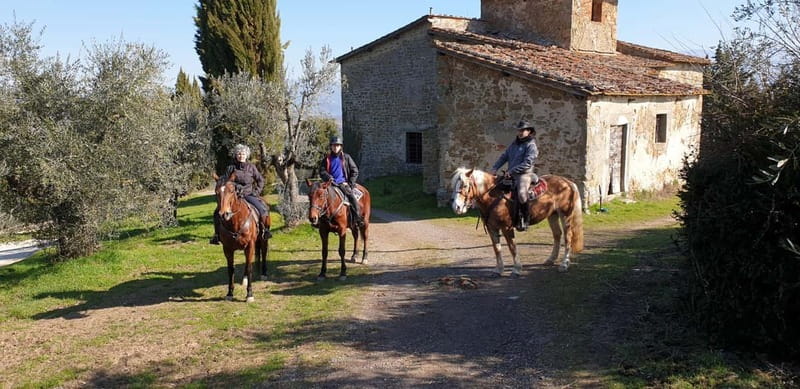 From Florence: Horse Ride and Wine Tour at Estate with Lunch - A historic estate instead of a standard tasting room