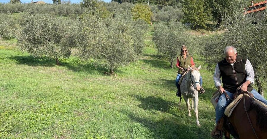 From Florence: Horseback Ride and Olive Oil and food tasting - Key points to know before booking