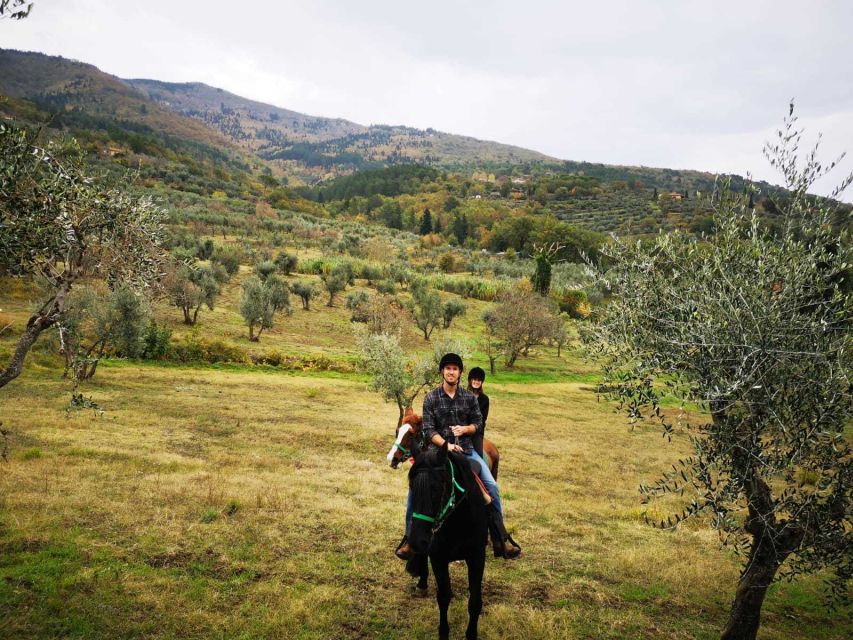 From Florence: Horseback Ride and Olive Oil and food tasting - Leaving Florence for the Chianti hills