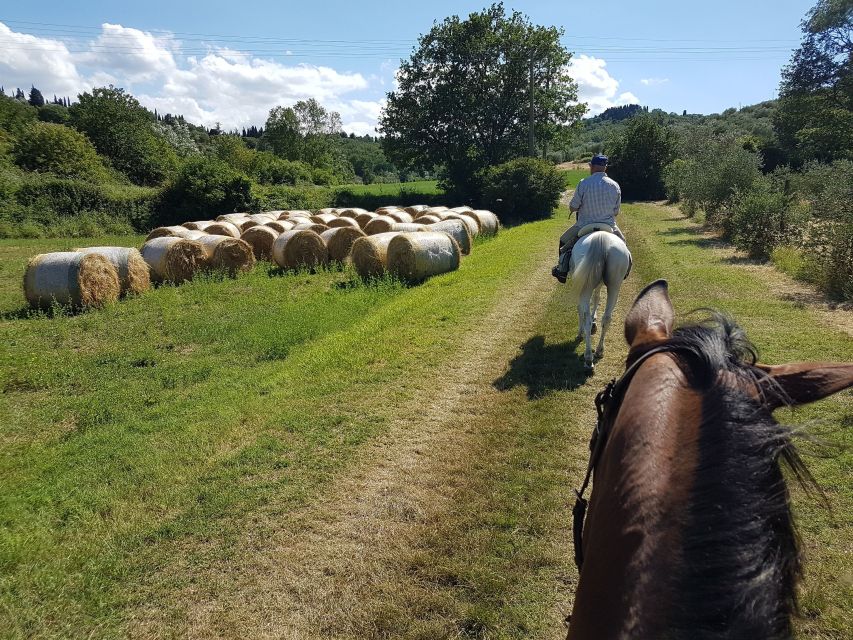 From Florence: Horseback Ride and Olive Oil and food tasting - One hour on horseback through vineyards and olive trees