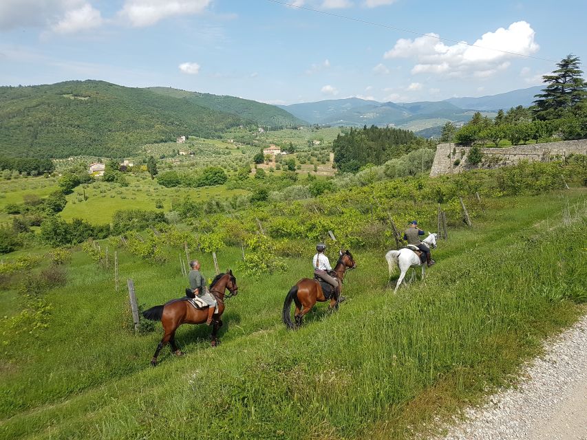 From Florence: Horseback Ride and Olive Oil and food tasting - Tasting Tuscan food with Chianti wine