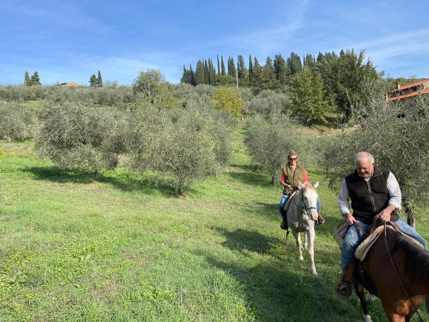 From Florence: Horseback Ride and Olive Oil and food tasting - What the $377 price really covers