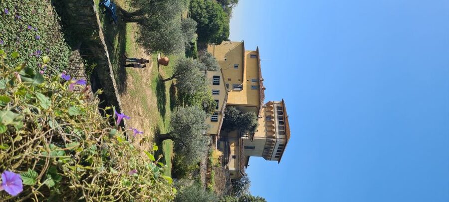 From Florence: Horseback Ride and Olive Oil and food tasting - Timing, weather, and practical preparation